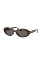 Gafas De Sol Ray-Ban RB2223 Tipo Carey Mujer de Rayban