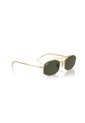 Gafas De Sol Ray-Ban RB3719 Dorado Hombre Y Mujer de Rayban