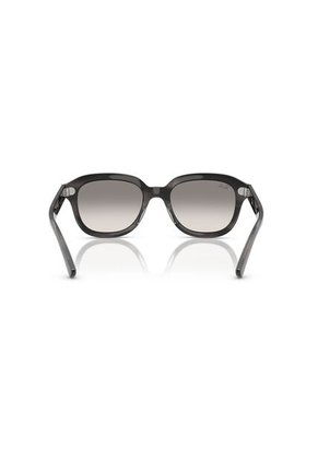 Gafas De Sol Ray-Ban Erik RB4398 Gris Hombre Y Mujer