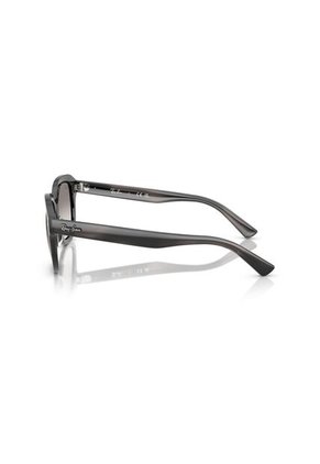 Gafas De Sol Ray-Ban Erik RB4398 Gris Hombre Y Mujer