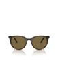 Gafas De Sol Ray-Ban RB4383 Marrón Mujer de Rayban