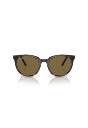Gafas De Sol Ray-Ban RB4383 Marrón Mujer