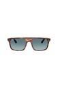 Gafas De Sol Ray-Ban RB2222 Marrón Hombre Y Mujer de Rayban
