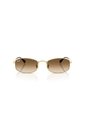Gafas De Sol Ray-Ban RB3832 Dorado Hombre Y Mujer de Rayban