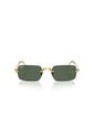 Gafas De Sol Ray-Ban RB3928 Dorado Hombre Y Mujer A$AP Rocky de Rayban