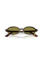 Gafas De Sol Ray-Ban RB4472 Tipo Carey Hombre Y Mujer de Rayban