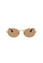 Gafas De Sol Ray-Ban RB3931 Dorado Hombre Y Mujer A$AP Rocky de Rayban