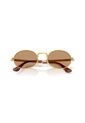 Gafas De Sol Ray-Ban RB3931 Dorado Hombre Y Mujer A$AP Rocky de Rayban