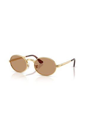 Gafas De Sol Ray-Ban RB3931 Dorado Hombre Y Mujer A$AP Rocky