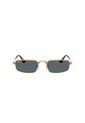 Gafas De Sol Ray-Ban RB3927 Dorado Hombre Y Mujer A$AP Rocky de Rayban