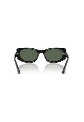 Gafas De Sol RB4446 Negro Ray-Ban