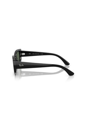 Gafas De Sol RB4446 Negro Ray-Ban