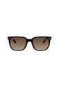 Gafas De Sol Ray-Ban RB4466D Hombre Y Mujer Marrón de Rayban