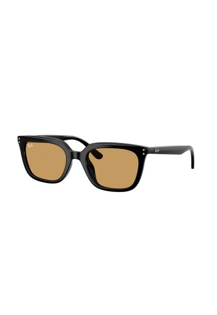 Gafas De Sol Ray-Ban RB4439D Hombre Y Mujer Negro