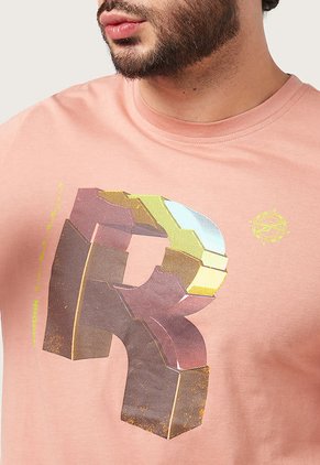 Camiseta Nude-Multicolor Reebok Graphic Series Big R