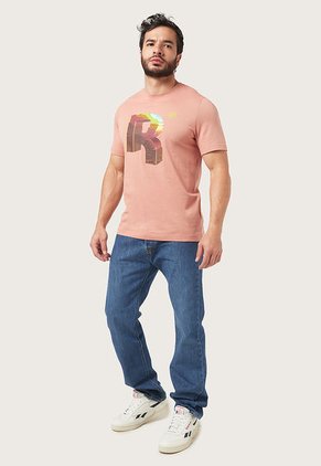 Camiseta Nude-Multicolor Reebok Graphic Series Big R