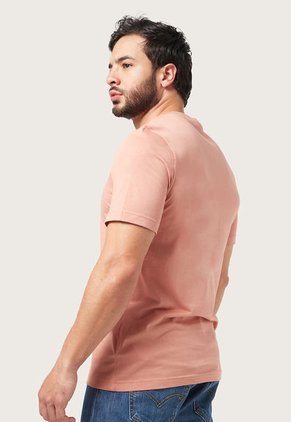 Camiseta Nude-Multicolor Reebok Graphic Series Big R