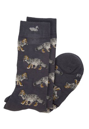 Medias Hombre Rockford RFV25H FOX Marron RKF