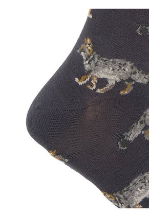 Medias Hombre Rockford RFV25H FOX Marron RKF