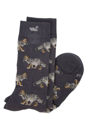 Medias Hombre Rockford RFV25H FOX Marron RKF