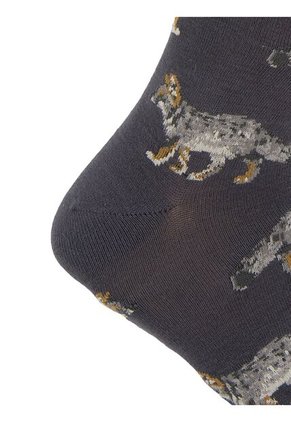 Medias Hombre Rockford RFV25H FOX Marron RKF