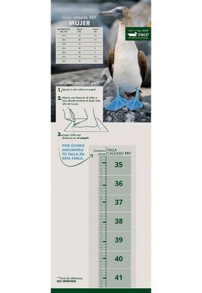 Bota Mujer Rockford ALONSO Tan RKF