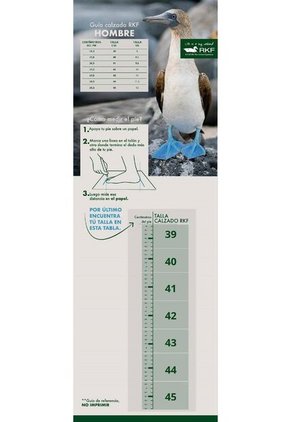 Zapato Formal Hombre Rockford KADUBA Marron RKF