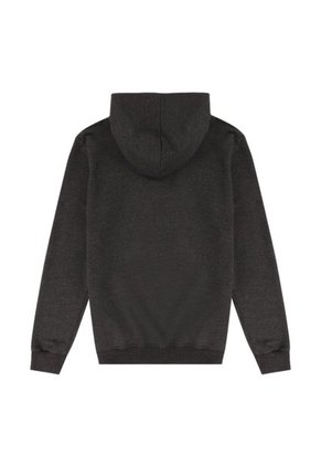 Buso Capota Adulto Iron Maiden Gris