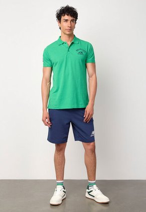 Polo Royal County of Berkshire Polo Verde