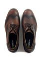 Zapatos San Polos Casual Hombre 3425 Fulton Coñac de San Polos