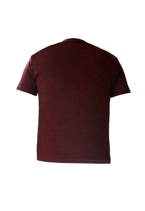Camiseta T-Shirt San Polos Hombre AX002 Vinotinto