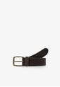 Cinturon Belt 52237BROWN100 Multicolor de Scalpers