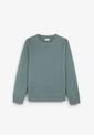 Sudadera Fade 48439GREENXXL Multicolor de Scalpers