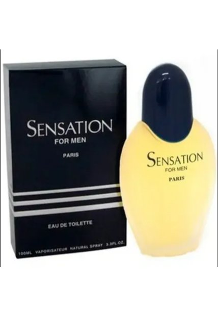 SENSATION POUR HOMME EDT 100