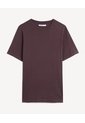 Camiseta Básica   Para Hombre Café Seven Seven de Seven Seven