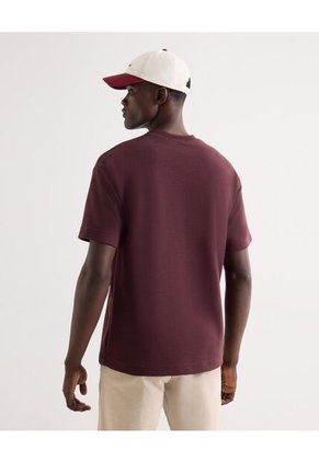 Camiseta Con Bordado  Para Hombre Café Seven Seven