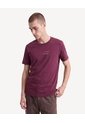 Camiseta Con Estampado  Para Hombre Vino Seven Seven de Seven Seven