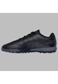 Array de Skechers