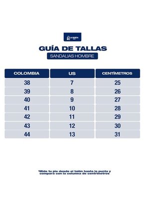 Sandalias Skechers Vapor Foam Hombre