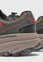 Tenis Outdoor Café-Gris-Rojo SKECHERS Go Run Trail Altitude 2.0 de Skechers