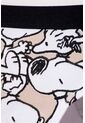 Pack X2 Panties De Snoopy Con Cintura Elástica Blanco Y Caqui Para Mujer L de Snoopy