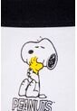 Pack X2 Panties De Snoopy Con Cintura Elástica Blanco Y Caqui Para Mujer L de Snoopy