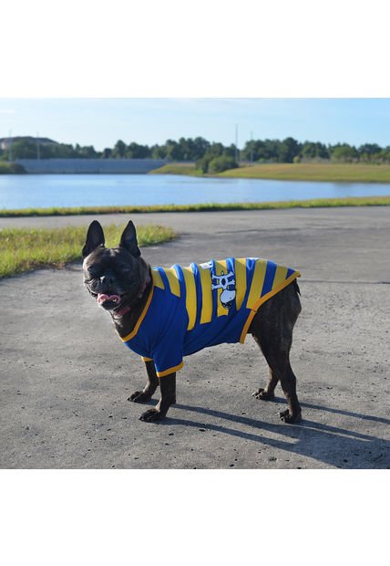 SN506AT24XHBCO-2507192