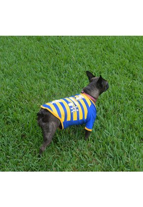 SN506AT24XHBCO-2507192