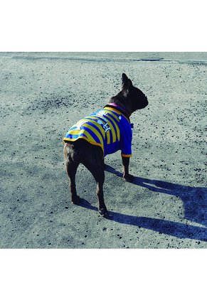 SN506AT24XHBCO-2507192