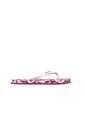 Sandalias Solimar Mujer OI2603 Fucsia de Solimar