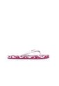 Sandalias Solimar Mujer OI2603 Fucsia de Solimar