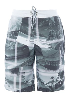 Pantaloneta Speedo Travel Gris