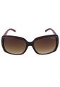 LENTES STEVE MADDEN OUTLOOK PARA MUJER SHOCK-O-LATE X17370 de Steve Madden