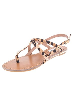 Sandalia Plana Café Steve Madden